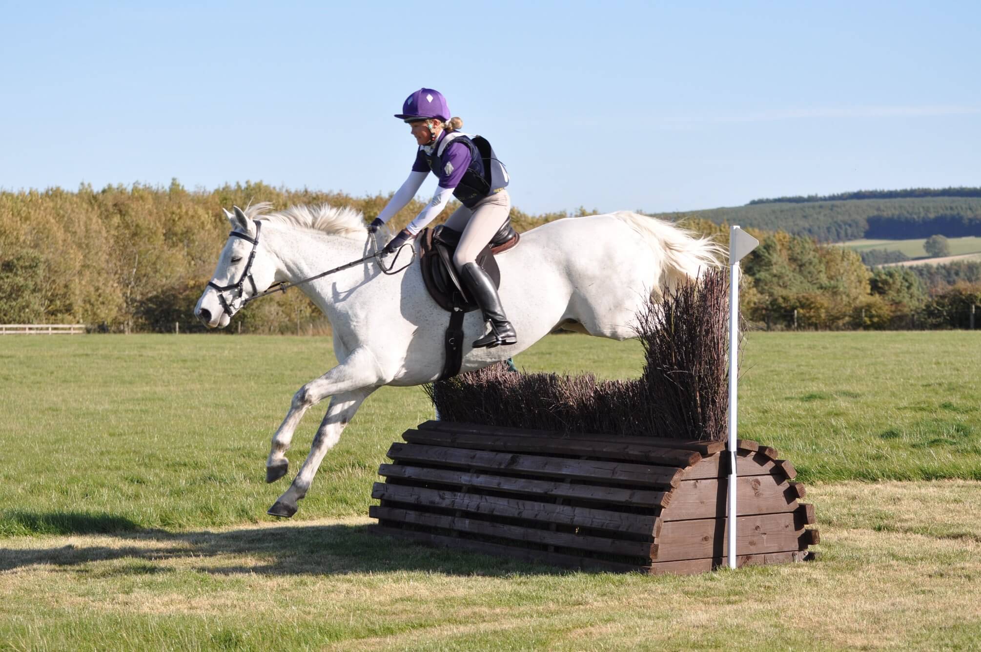 Watt Fences Horse Fencing Equestrian & Sports Fencing & Products